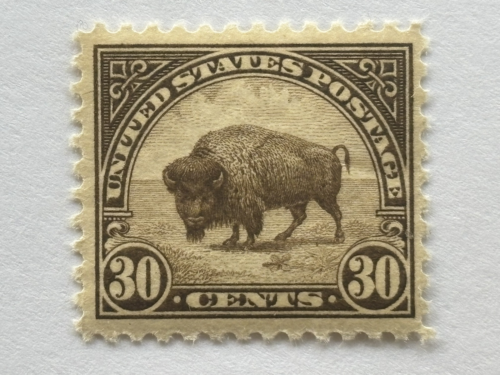 US Stamp Scott 569 30c American Buffalo 1923 regular issue MNH SEE IMAGES!!