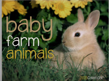 2025 WALL CALENDAR Baby Farm Animals Clean Beautiful Colors