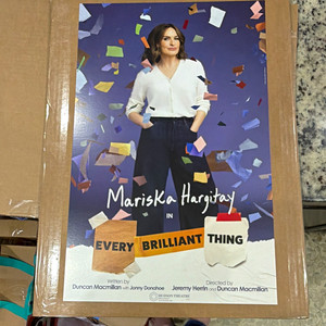 Mariska Hargitay Every Brilliant Thing Original Theater Poster