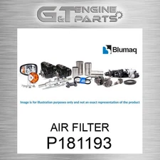 P181193 AIR FILTER fits Varios (NEW AFTERMARKET)