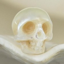 Agustus-Collection Perle Crâne Humain 8.89mm Blanc Perçage Vertical 0.68g