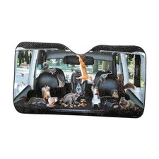 - Accoutrements Auto Sunshade, Car Full of,One Size Squirrels
