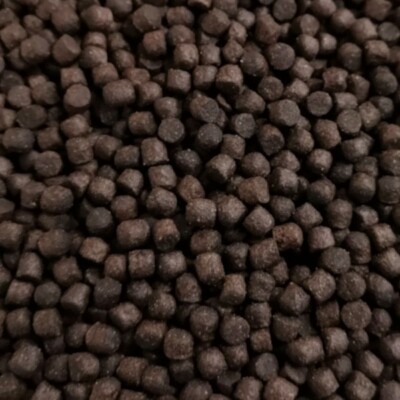 Premium Koifutter 10 kg/ 6 mm Aller Aqua Primo Plus Astaxanthin ab12°C Teich Koi