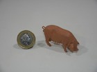 Picture 18 of 148