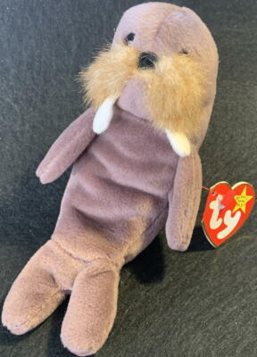 TY Beanie Baby JOLLY the WALRUS 1996 4th Gen 12-2-96 MWMT Bean Bag PLUSH TOY