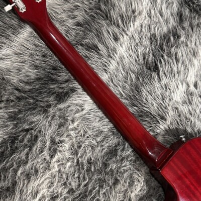 Epiphone Japan Limited Edition LQ Les Paul Junior Single