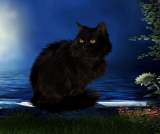 BLACK CAT COMPUTER MOUSE PAD 9 X 7