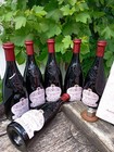 Konkursmasse  6x750 ml Ronchedone Ca de Frati Cadei  Rosso Millionärswein 2022!