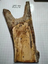 U143 Blackline Maple Burl Live Edge Slab Woodworking Crafting Epoxy 29x12x1 1/8