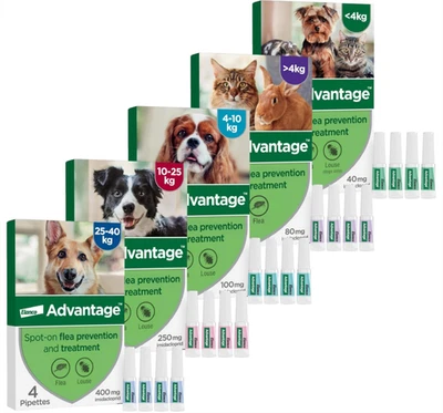 ELANCO Spot On Flea Treatment for Cats, S M L Dogs and Rabbits 4 Pipettes