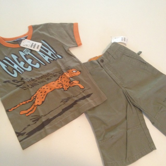 hm nylon shorts