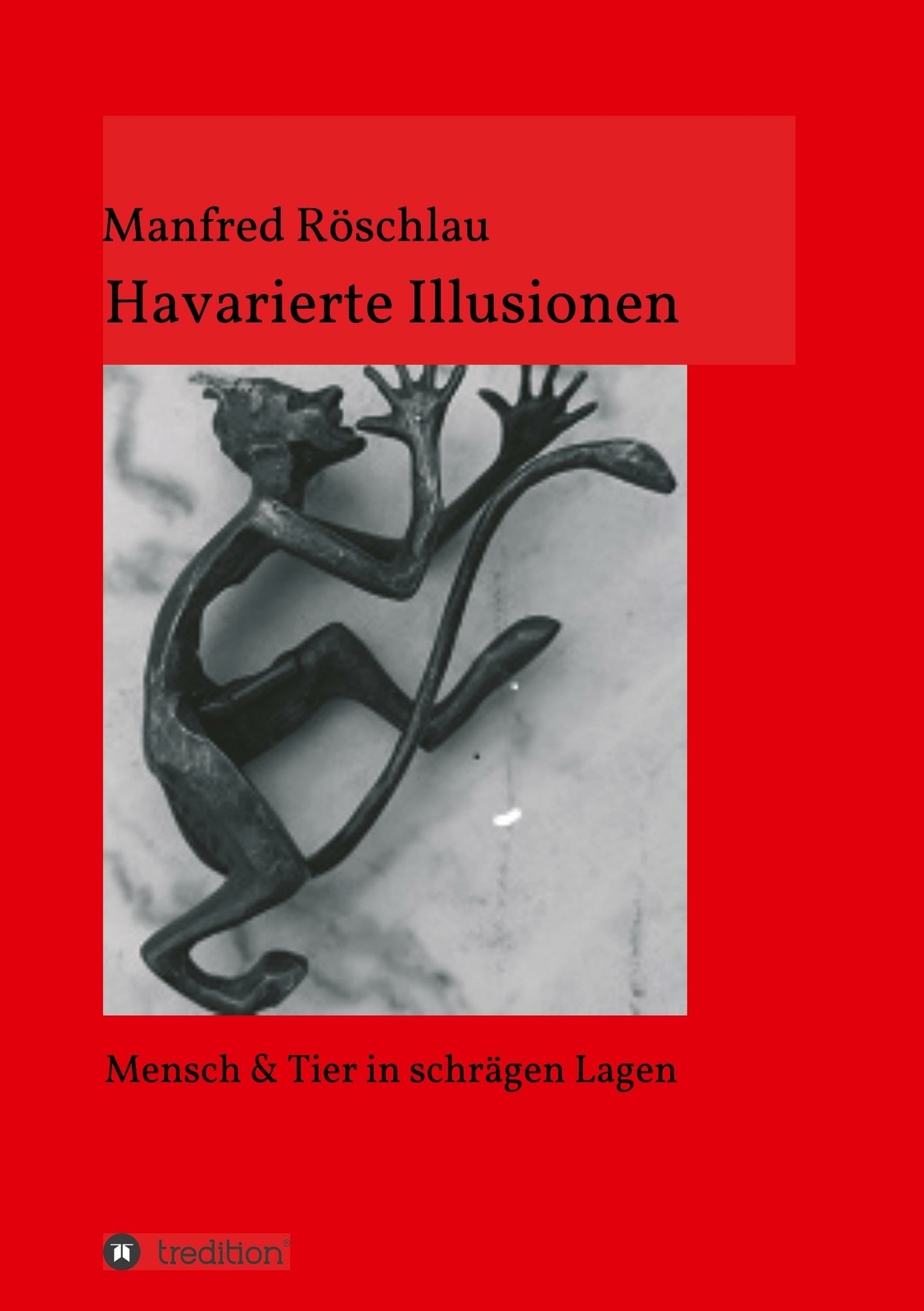 Havarierte Illusionen | Buch | 9783749714100