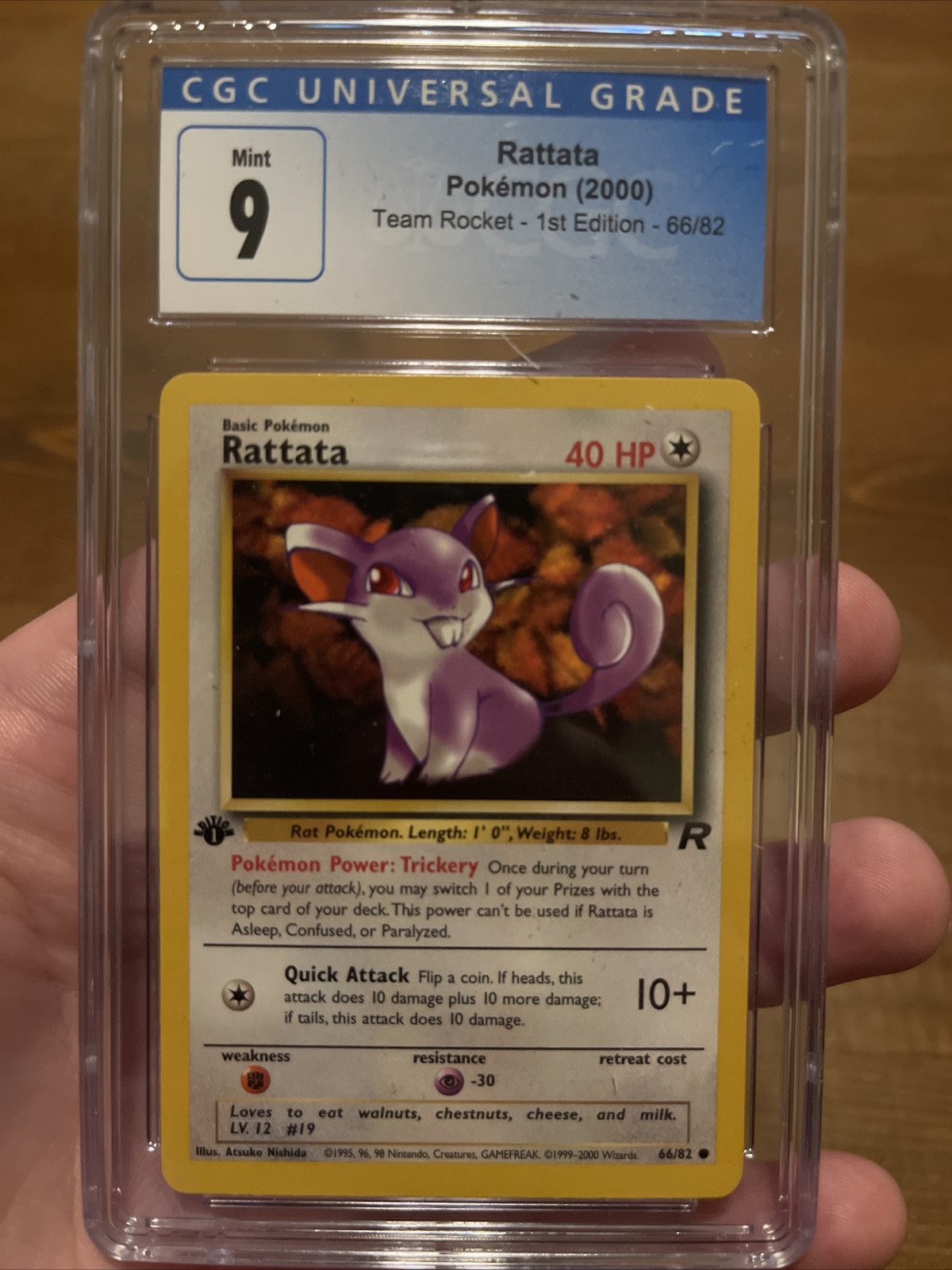 Pokémon TCG Rattata Team Rocket 66 Regular 1st Edition PSA 9 MINT
