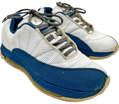 jordan comfort max 12