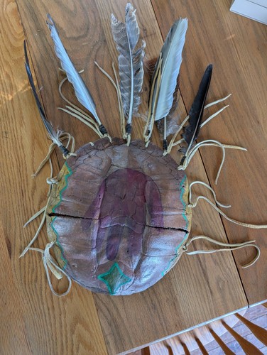 Real Turtle Shell Shield With Feathers | eBay