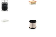 MANN-FILTER Inspektionspaket Filtersatz XL Anschraubfilter Partikelfilter für SW