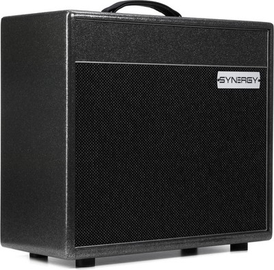 Synergy SYN-20IR 20-watt, 1 x 12-inch Combo Amplifier - No Module Included -