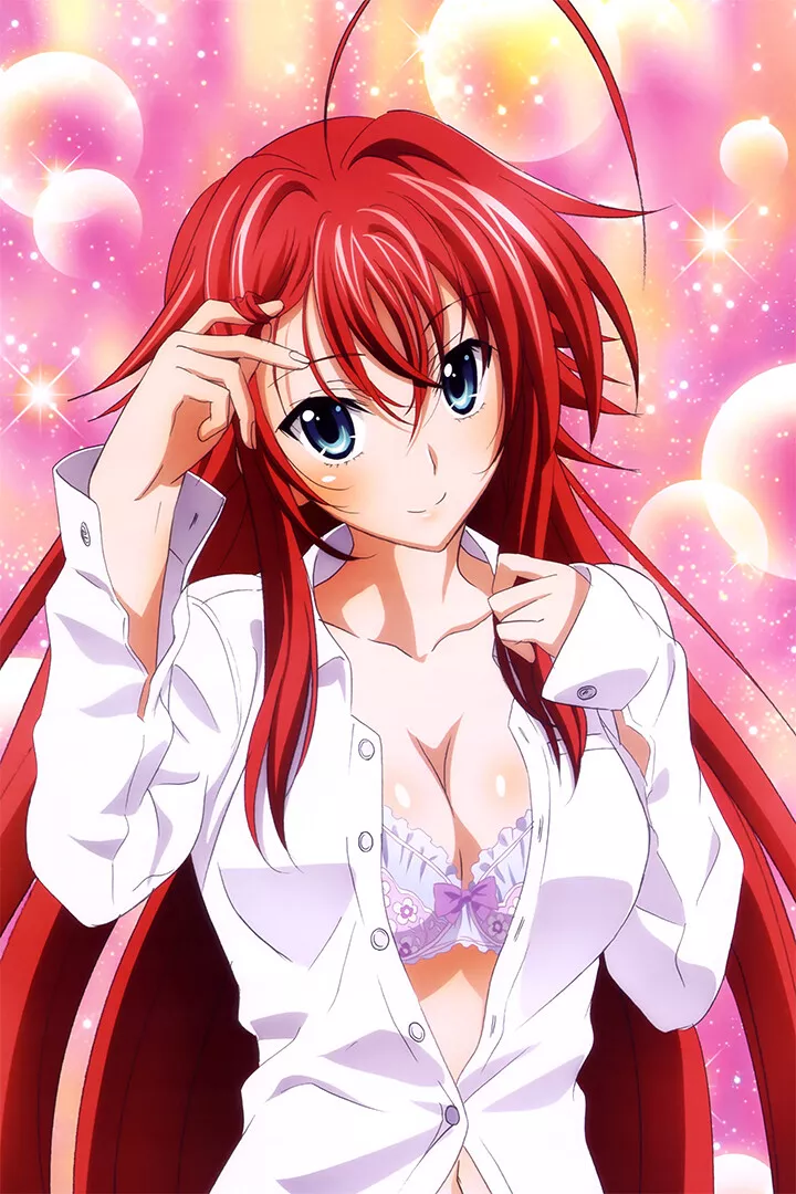 High School Dxd Anime Literature Series Wall Art Home Decor - POSTER 20x30