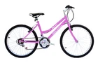 18 Speed 24" Mountain Bicycle Steel Frame M40 MTB Women Beginner V-brake Bike