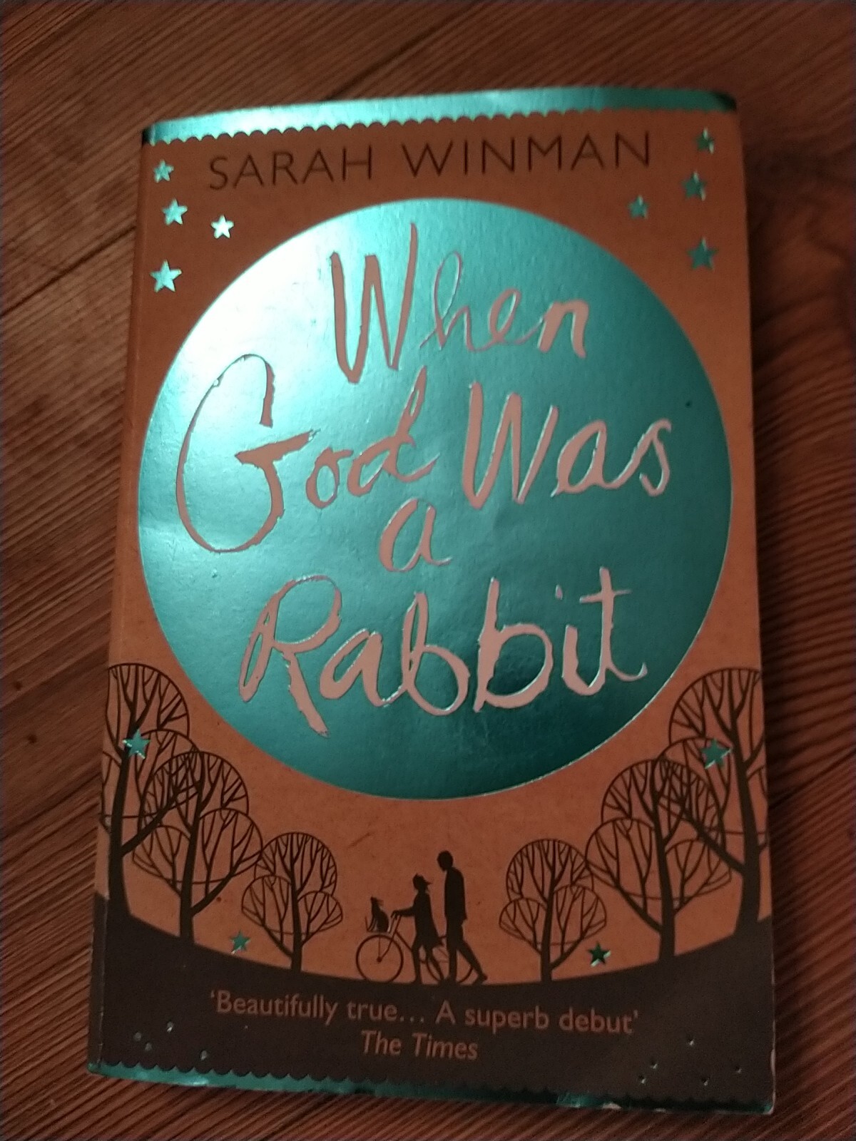 When God was a Rabbit: The Richard and Judy Bestseller by Sarah Winman...