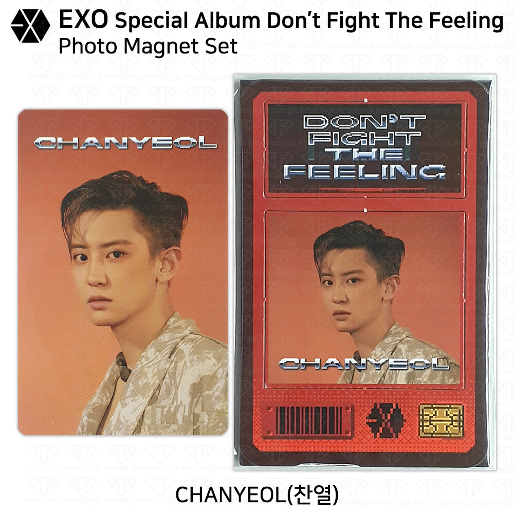EXO Special Album Don't Fight The Feeling Hologram Photocard Stand