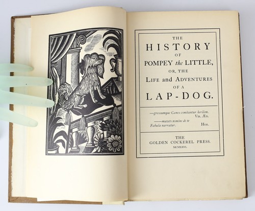 Ltd Edition Francis Coventry The History of Pompey the Little Lap-dog 1926 - Picture 6 of 6
