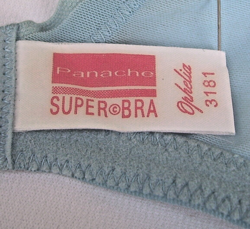 Panache Super Bra 3181 Ophelia Women's 36E Sheer Blue Embroidered Lace Underwire - Picture 4 of 5