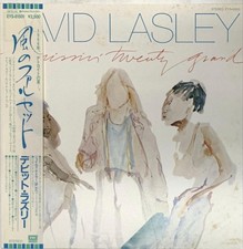 David Lasley Missin' Twenty Grand Vinyl Record Used Condition