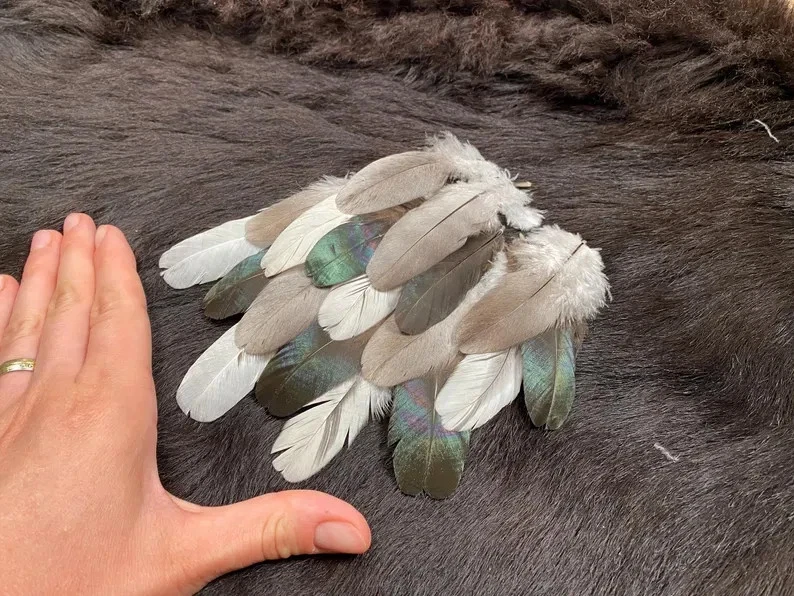 18er Federmix, 7-10cm, 3 Sorten, artgerechte Haltung, Bastelfeder-Mix, Naturfede - Bild 2 von 4