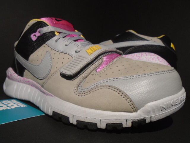 nike trainer dunk low