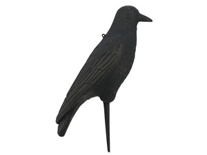 17-inch-tall-Flambeau-black-hollow-plastic-crow-hunting-decoy-with-stake-5900CR