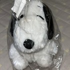 Foto 2 di 3