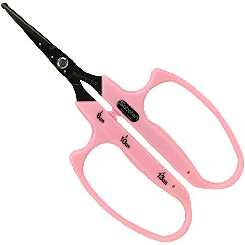 Cactus Grape Scissors Large Handle Round Straight B-6B - Picture 1 of 6