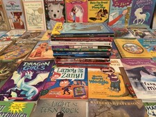 Bulk 50 Chapter Books Kids Series Mix Classroom Reading Library FREE SHIP