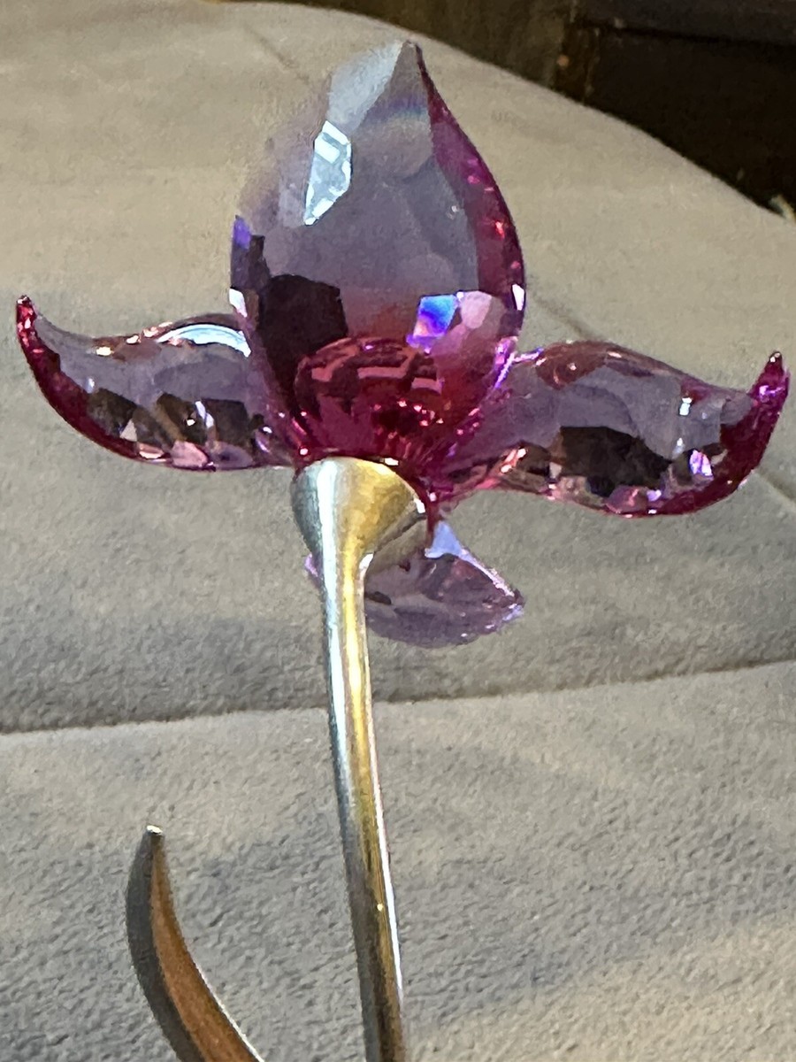Swarovski Crystal Paradise Flower Dorora Fuchsia Rain Orchid NO