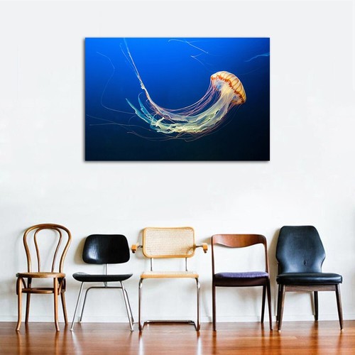 Beautiful Jellyfish Animal Posters Prints Wall Art Home Decor Canvas Painting - Picture 3 of 6
