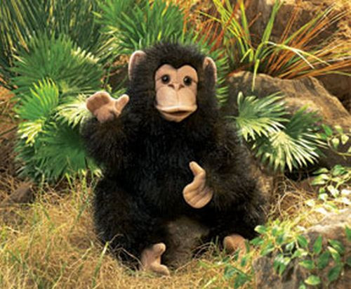 Folkmanis Handpuppe Baby-Igel