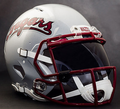The PERFECT football helmet for the WASHINGTON STATE COUGARS fan in your life!