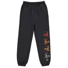 Jurassic Park Boys Dinosaurs Jogger Sweatpants -Little and Big Boys Sizes 4-7...