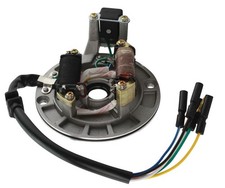Lichtmaschine Zündung Stator für Dax Monkey ATV Dirtbike Mini Cross 50 - 125ccm