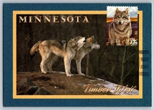 #3802b Arctic Tundra Gray Wolf Maxi Card w/Pictorial Cancel