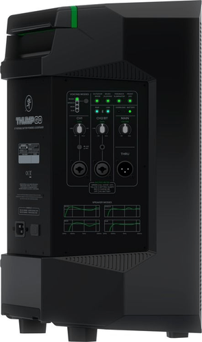 2 Mackie Thump GO 200 Watt 8" 2-Wege batteriebetriebener tragbarer Lautsprecher & MR DJ - Bild 3 von 4