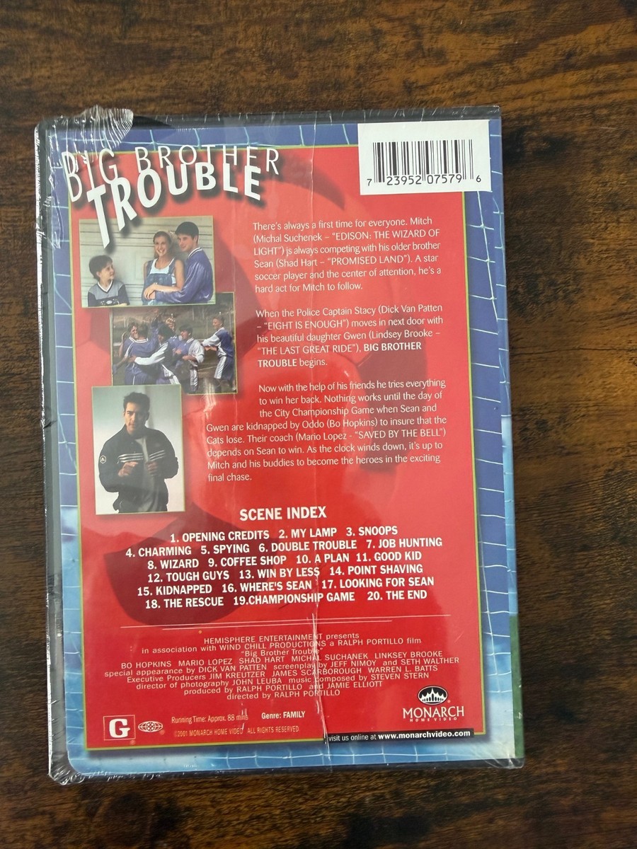 Big Brother Trouble (DVD, 2001) for sale online | eBay
