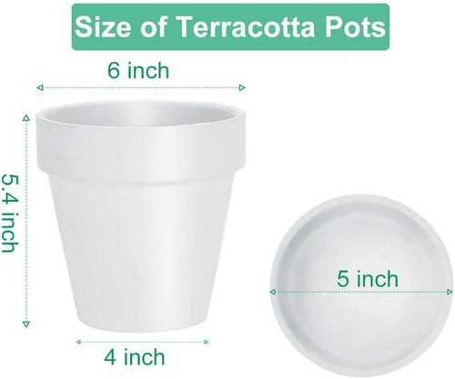 Elegant 6 Inch Clay Pot Set with Drainage Hole - Perfect for Indoor & Outdoor - Picture 4 of 9