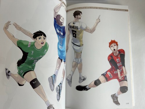Haikyu!! 10o libro conmemorativo crónica anime japonés libro de arte usado muy bien - Imagen 10 de 23