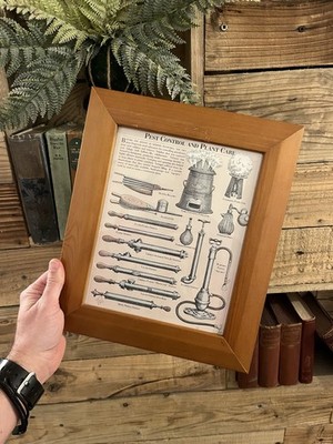 Vintage Botanischer Garten Druck illustriert Schädlingsbekämpfung Pflanzenpflege Holz Wandkunst