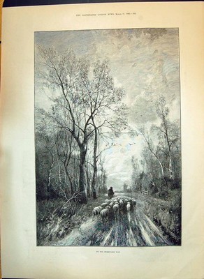 Alter 1893 Homeward gebundener Hirte Schaf Nell Schüler Damen Musik Portr viktorianisch
