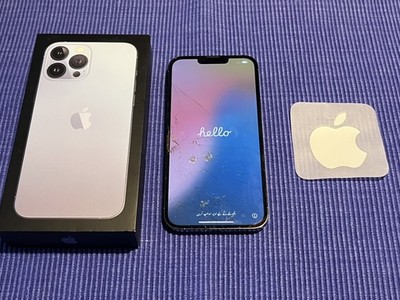iPhone 13 Pro Max 256GB , Sierra Blue, Displayschaden, voll funktionstüchtig 