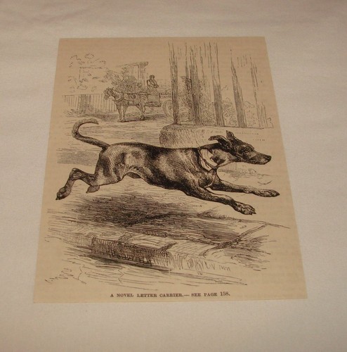 1886 magazine engraving ~ A NOVEL LETTER CARRIER, Dog w/ Letter