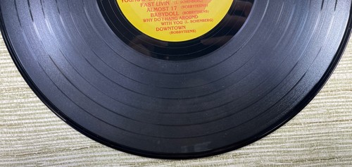 The Bobbyteens 12" LP Fast Livin & Rock N Roll 1998 Lipstick Records Vinyl - Imagen 22 de 24